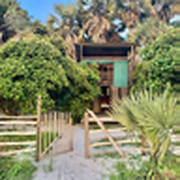 رحلة بوانت كوندا — excursion from Pointe-Noire