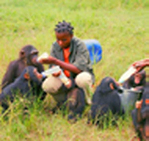 تشيمبونغا — excursion from Pointe-Noire